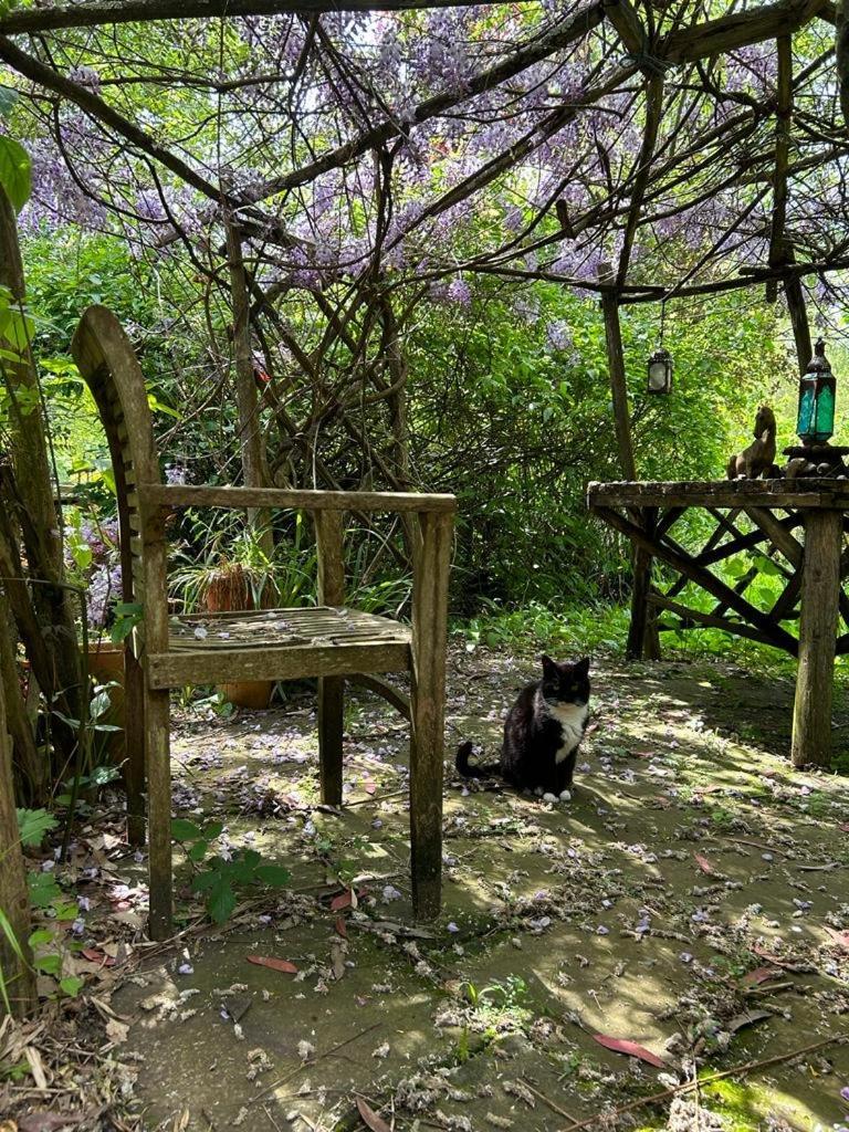 The Garden * Ringwood