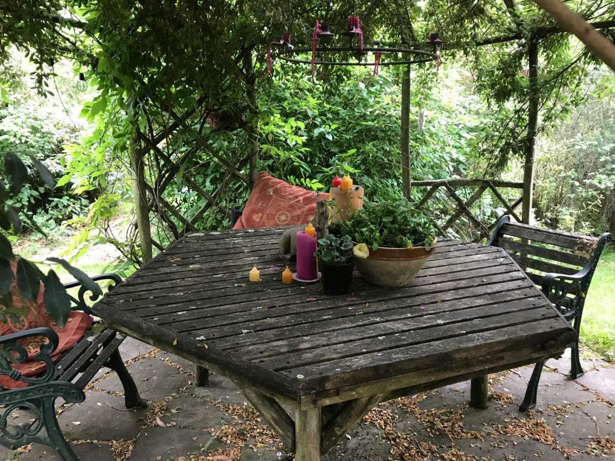 The Garden Ringwood