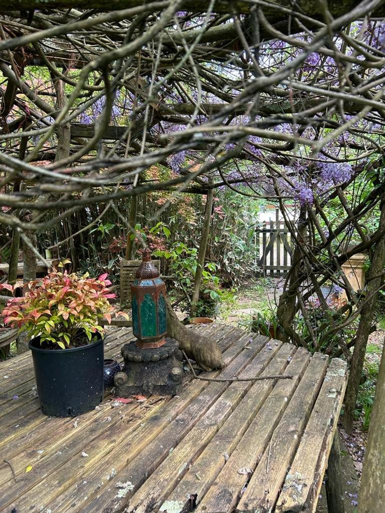 The Garden Holiday home Ringwood