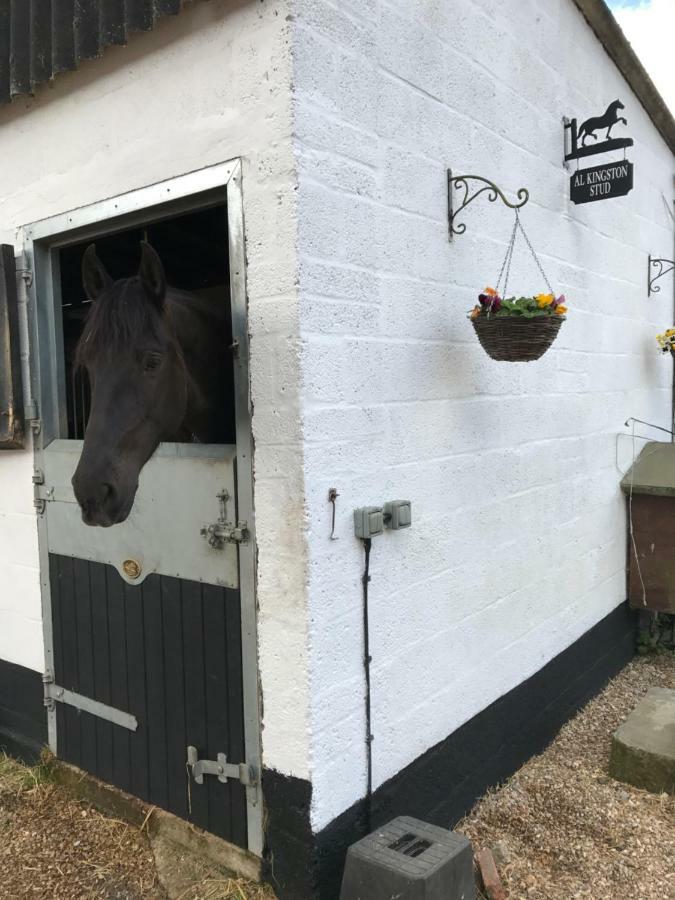 The Garden Holiday home Ringwood