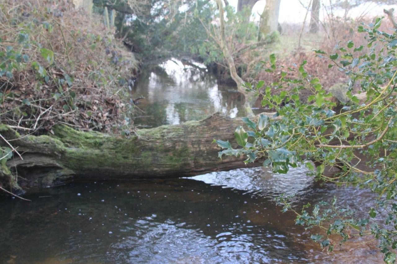 The Garden * Ringwood
